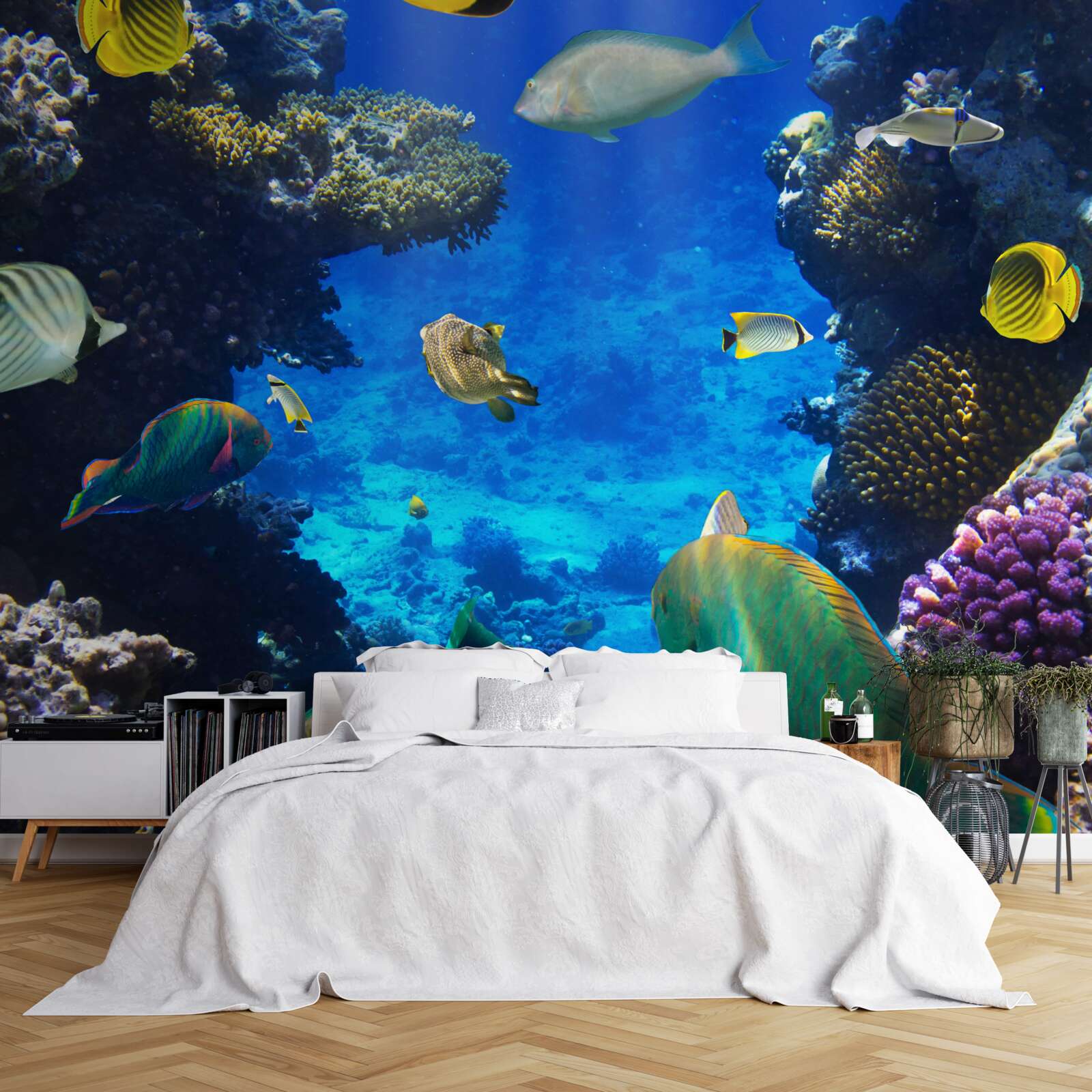 Фотошпалери таємничі глибини океану