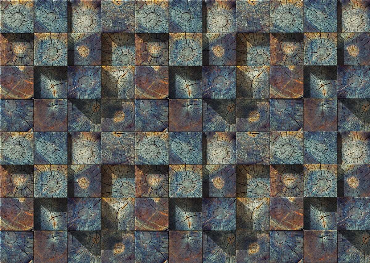 Фотошпалери невеликі саджанці дерев