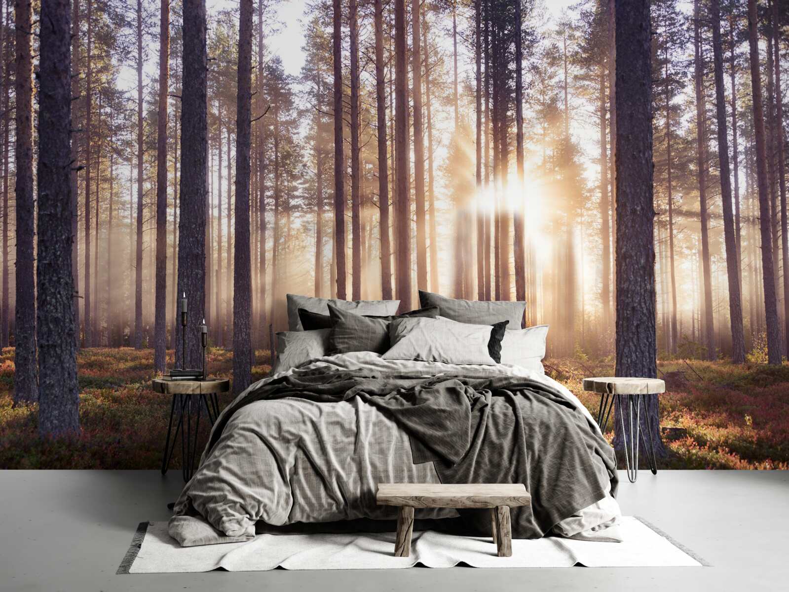 Фотошпалери ранок у лісі