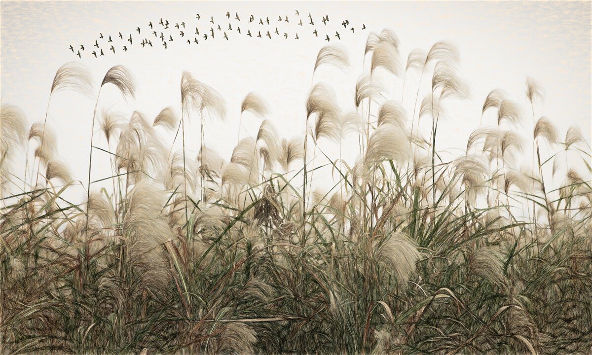 Фотошпалери рослини з пухнастою текстурою