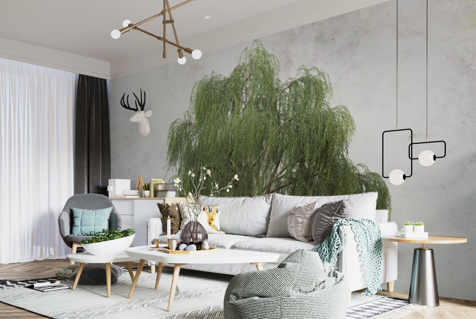 Фотошпалери плакуча верба