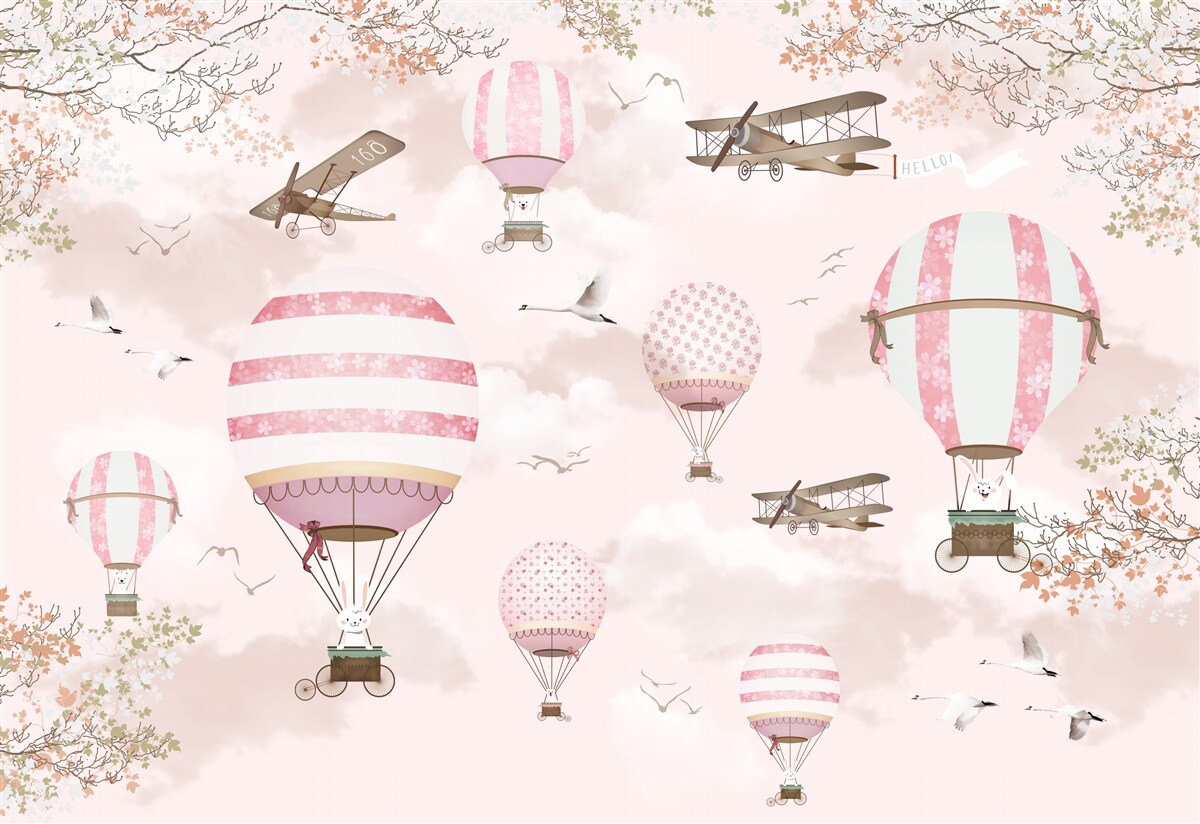 Фотошпалери повітряний транспорт