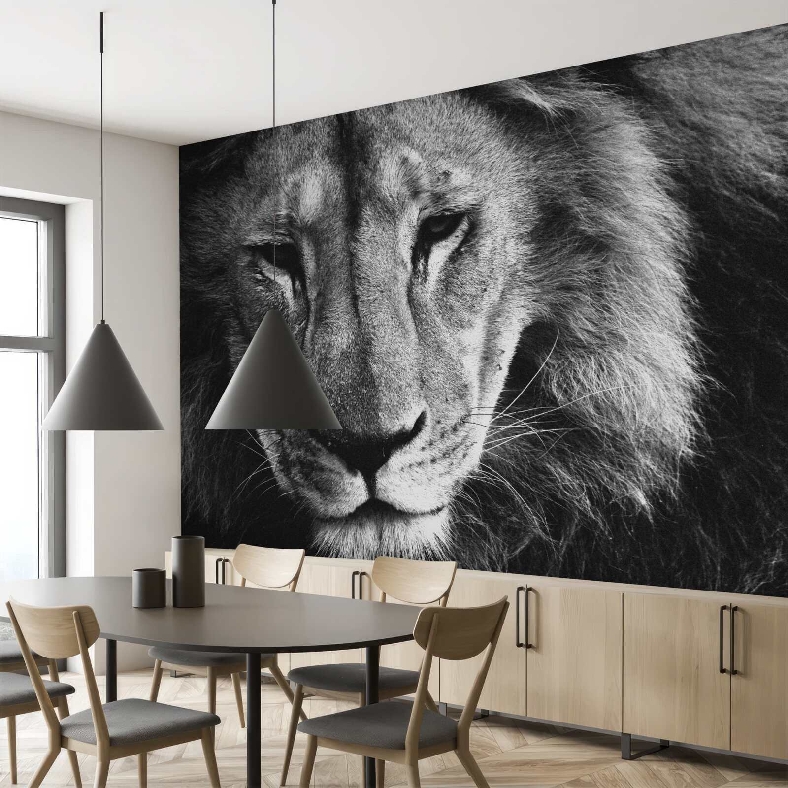 Фотошпалери чорно-білий портрет дорослого лева