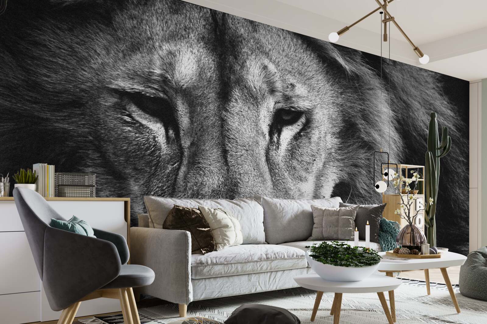 Фотошпалери чорно-білий портрет дорослого лева