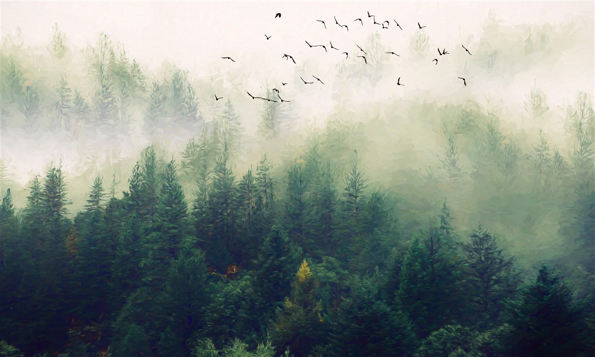 Фотошпалери птахи пролітають над лісом у туманному повітрі