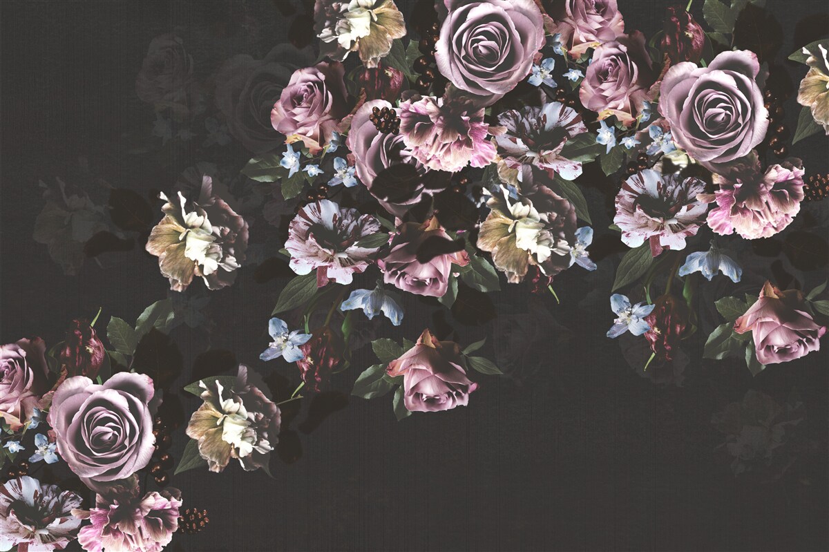 Фотошпалери рожеві квіти на чорному тлі