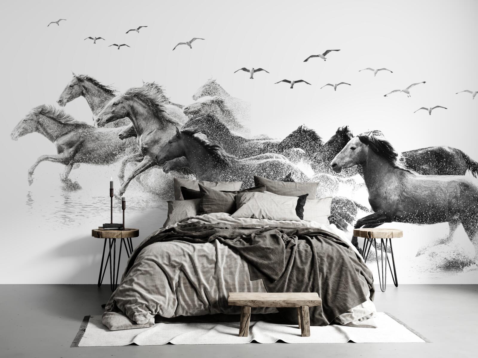 Фотошпалери багато коней, що скачуть