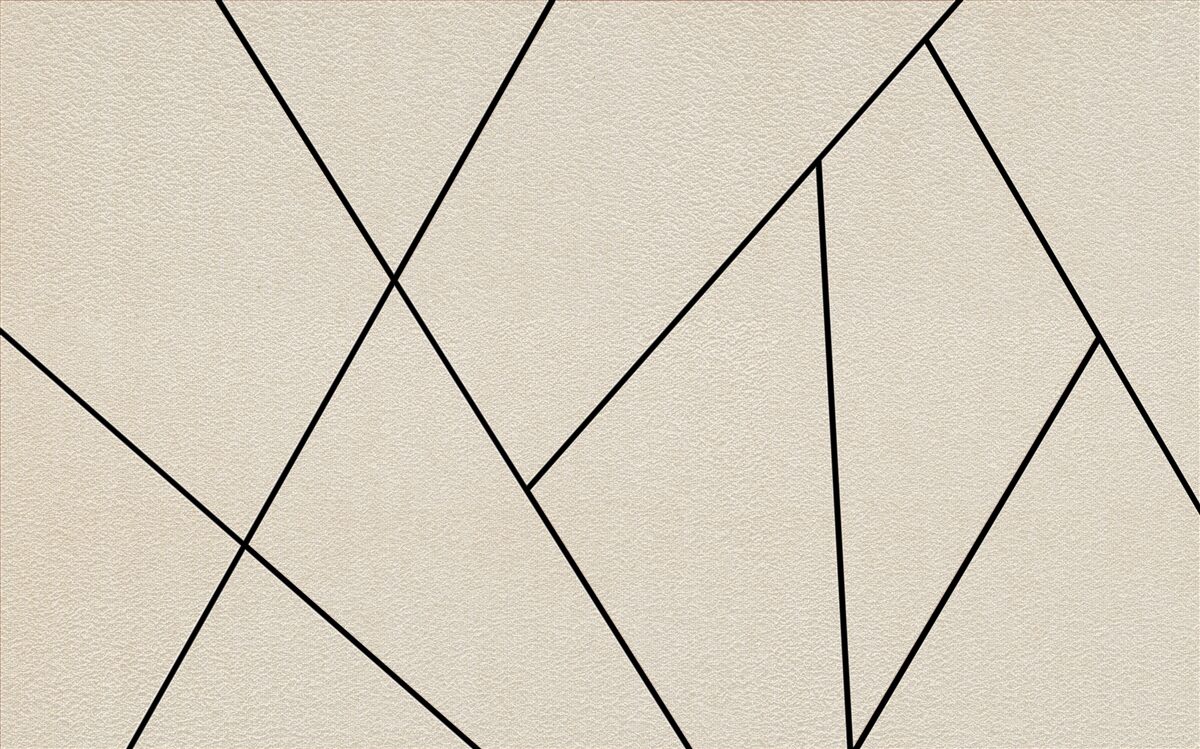 Фотошпалери світла стіна з плавними чорними лініями