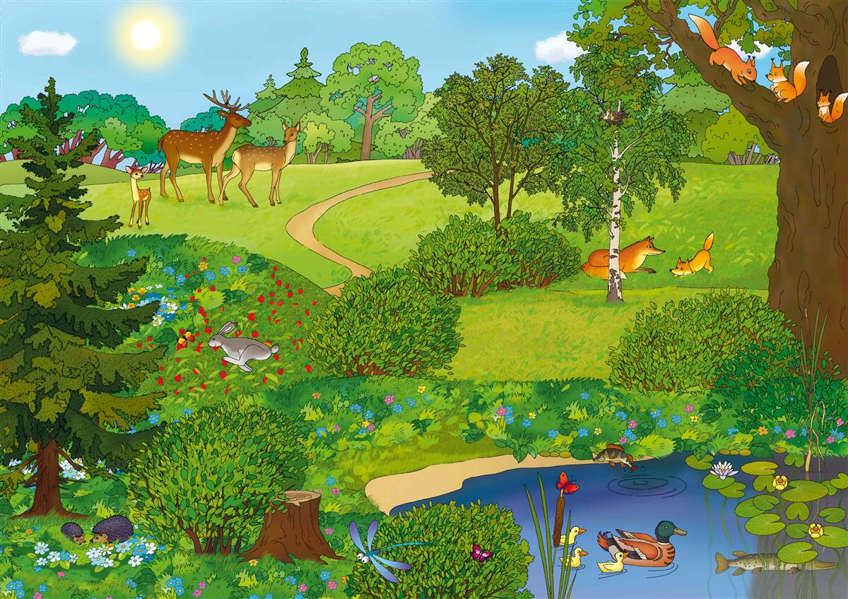 Фотошпалери тварини йдуть лісовою галявиною