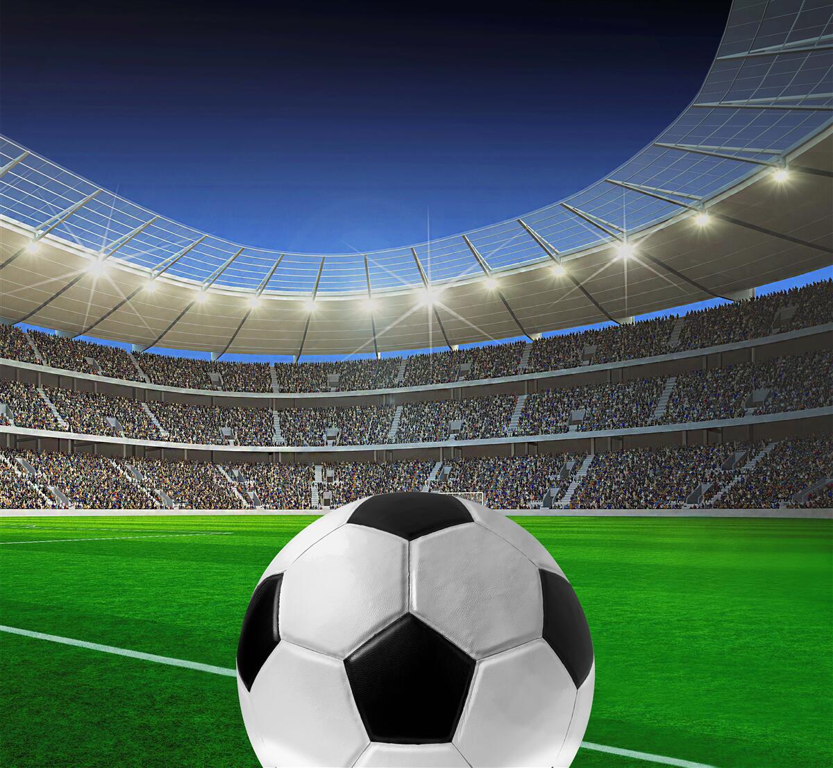 Фотошпалери на території арени є футбольне поле з м'ячем