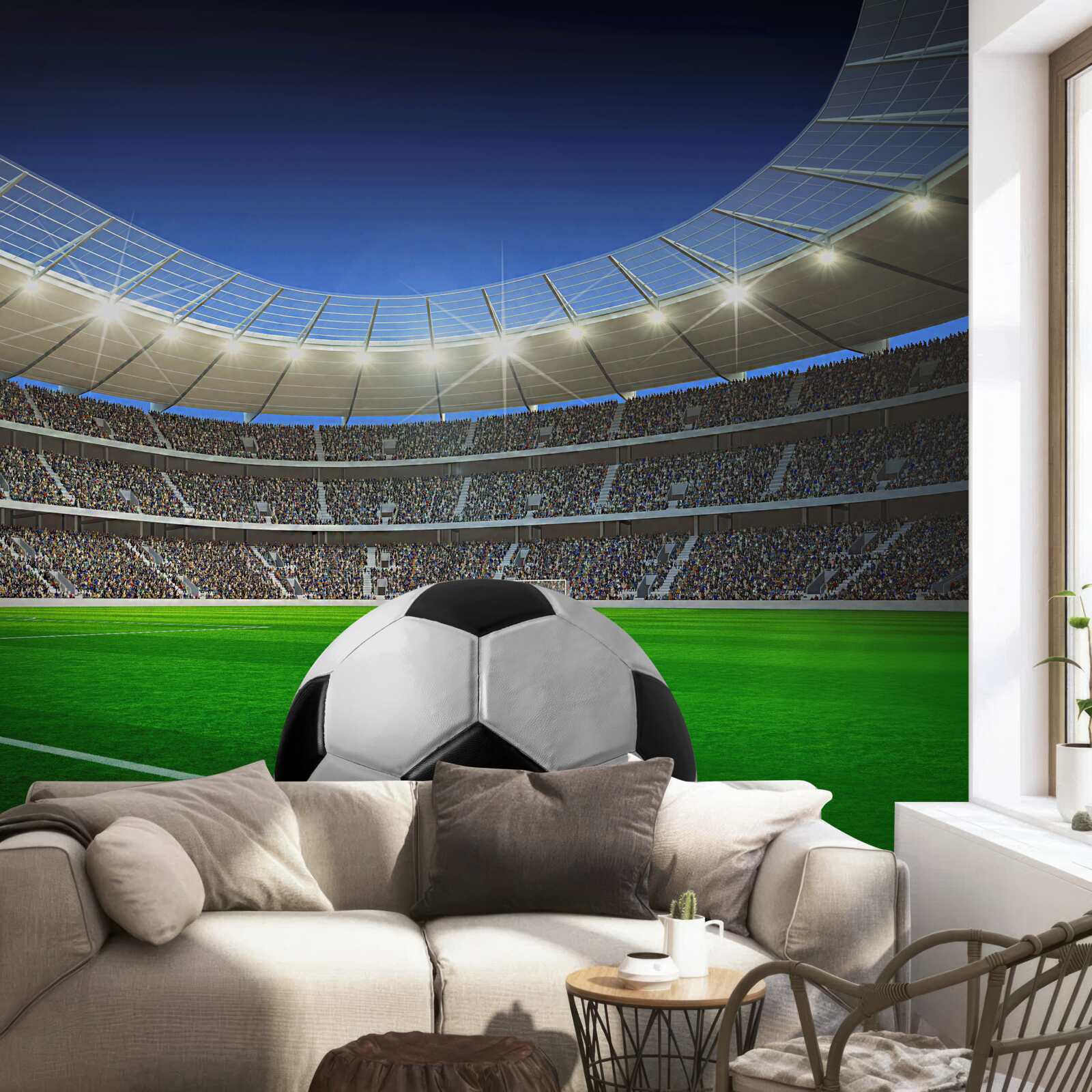 Фотошпалери на території арени є футбольне поле з м'ячем