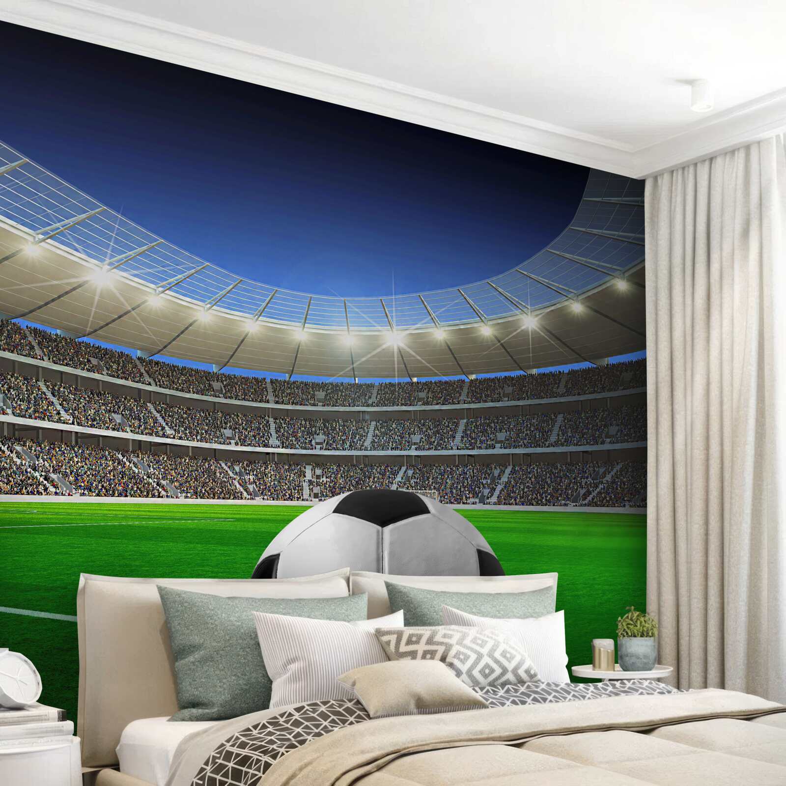Фотошпалери на території арени є футбольне поле з м'ячем