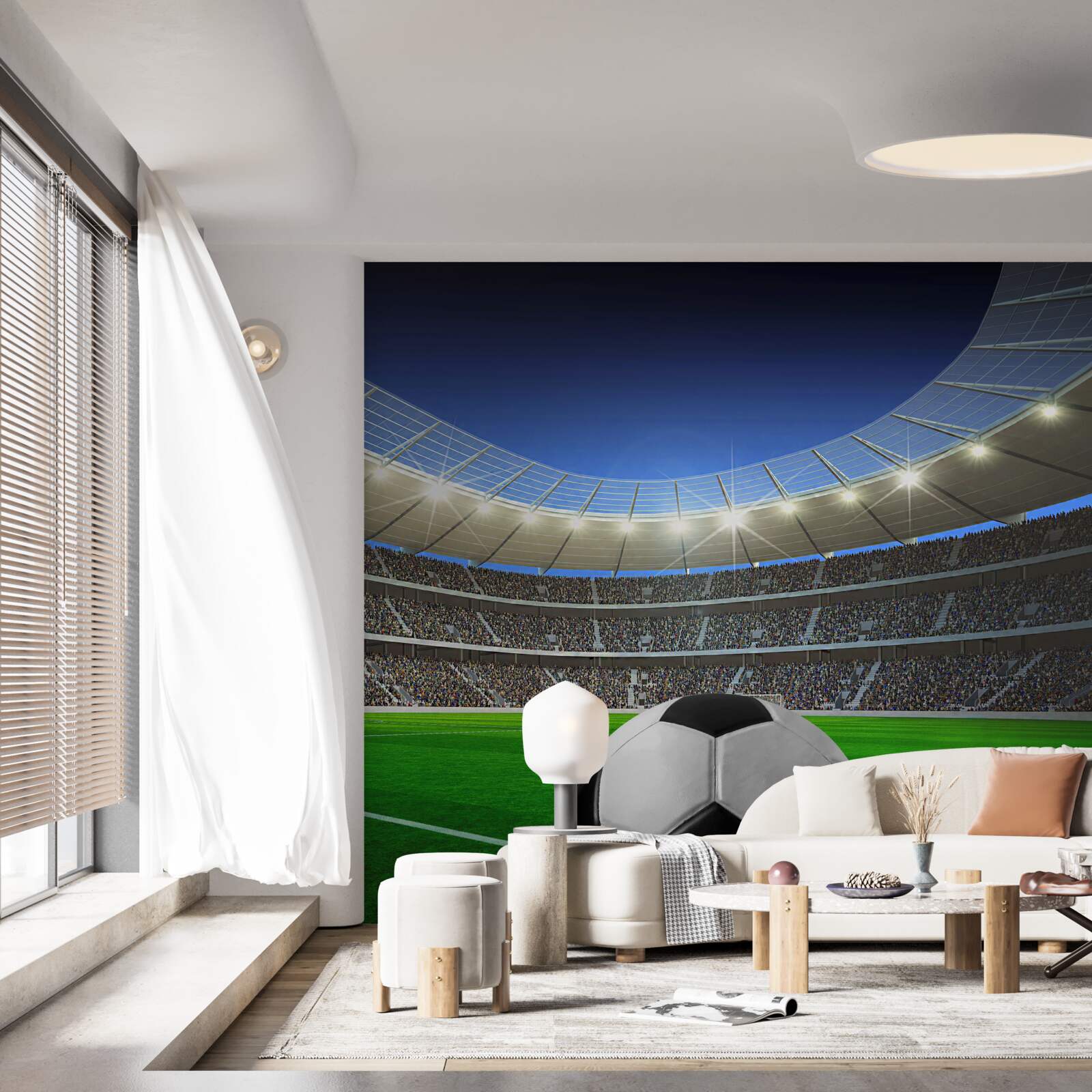 Фотошпалери на території арени є футбольне поле з м'ячем