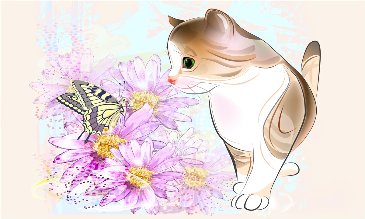 Фотошпалери метелик привернув увагу кота