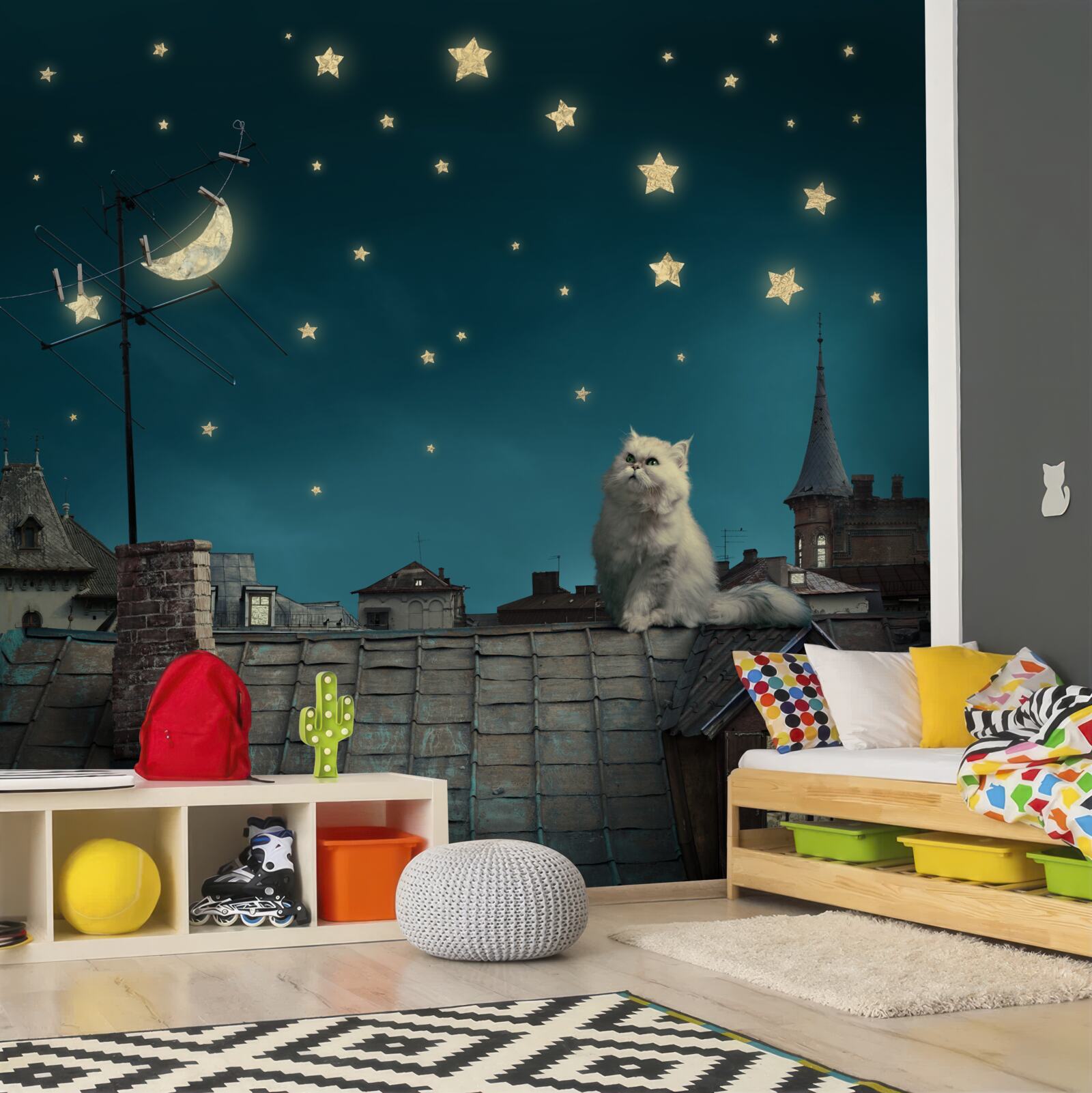 Фотошпалери вночі на даху сидить білий кіт