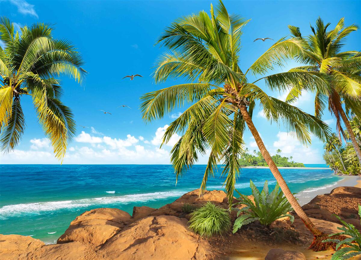 Фотошпалери високі пальми біля узбережжя