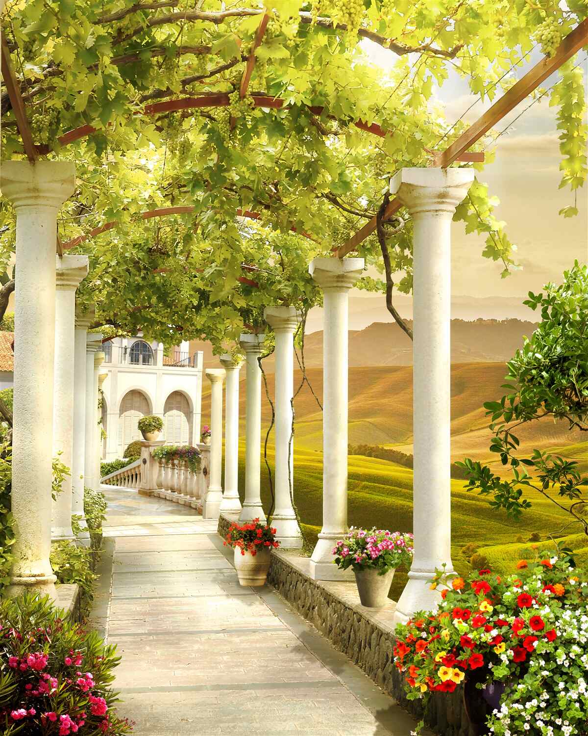 Фотошпалери виноградні лози обвивають колони