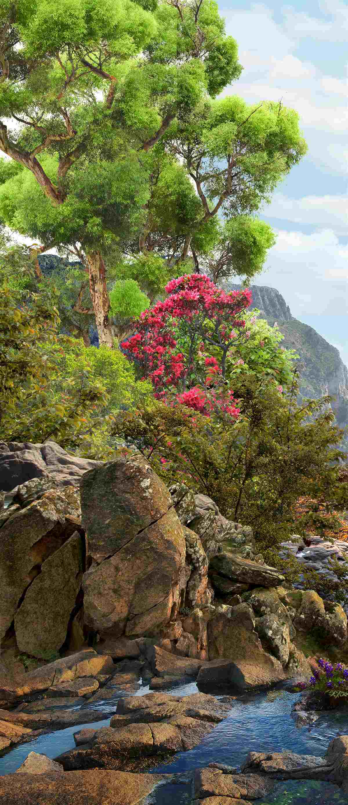 Фотошпалери трава і гірський потік