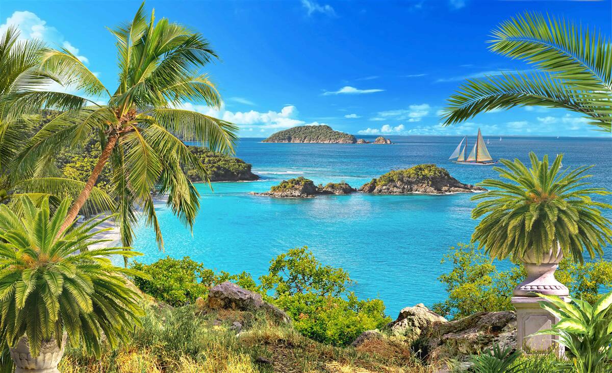 Фотошпалери океан і кокосові дерева