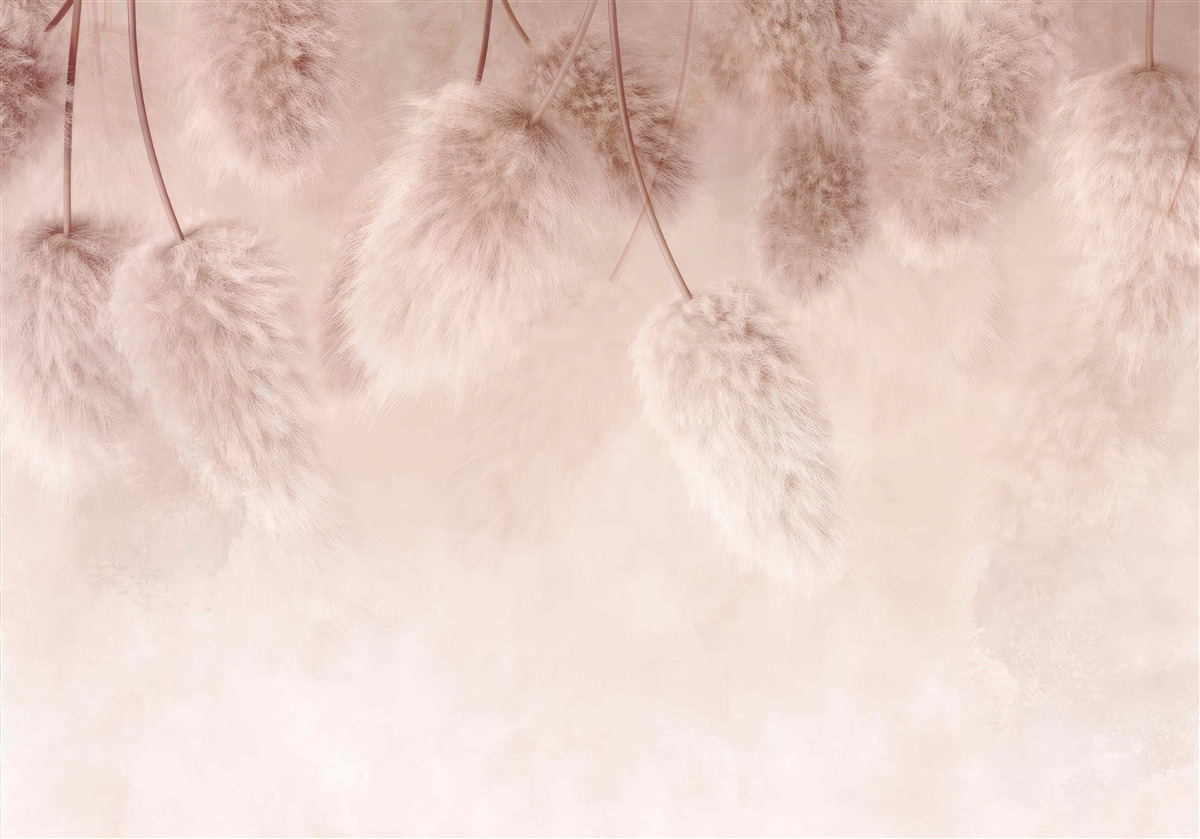 Фотошпалери сухі квіти на рожевому тлі