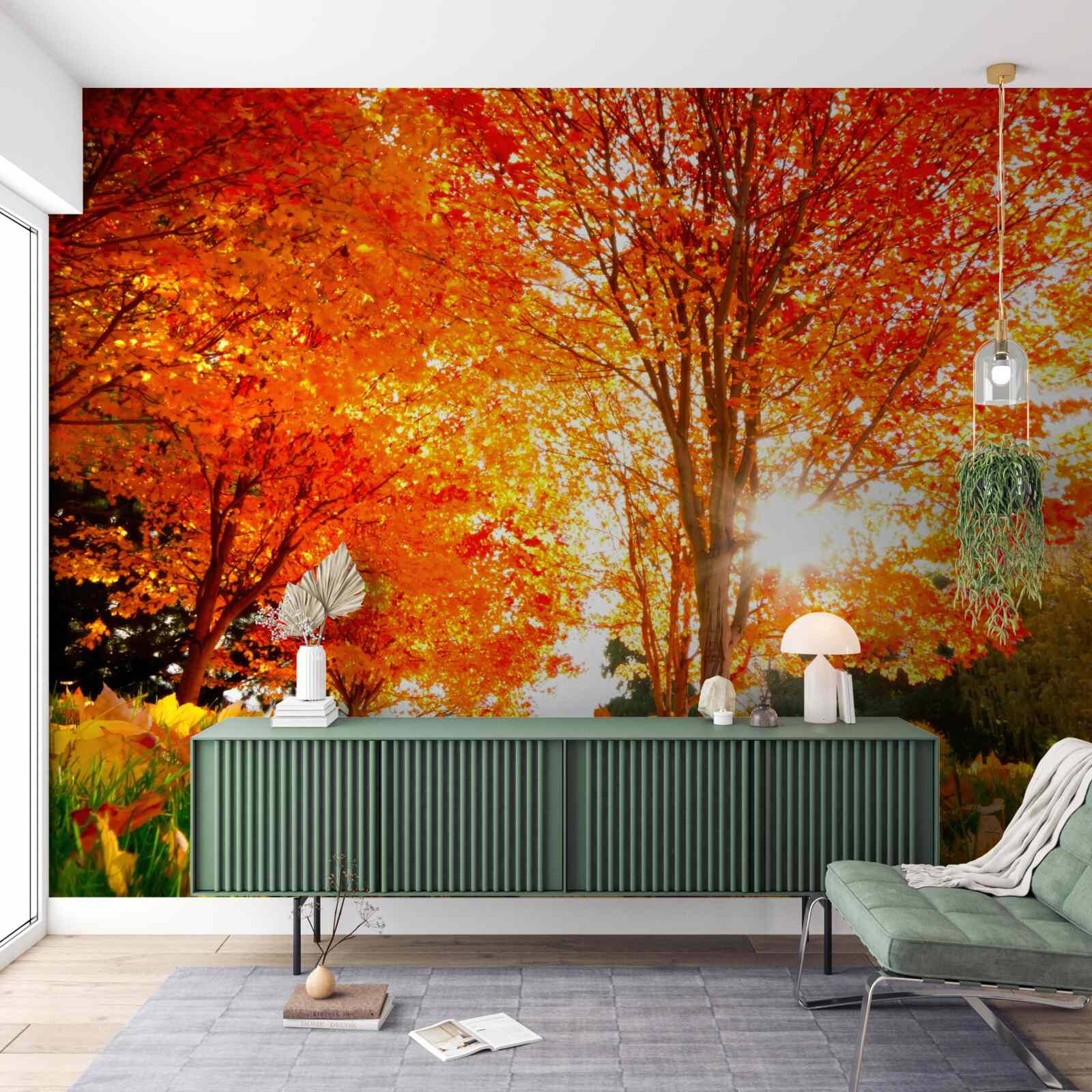 Фотошпалери ліс, сповнений осінніх барв