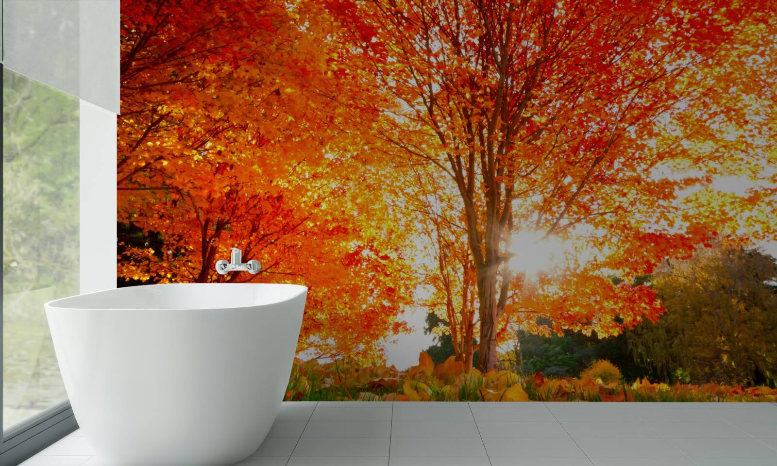 Фотошпалери ліс, сповнений осінніх барв