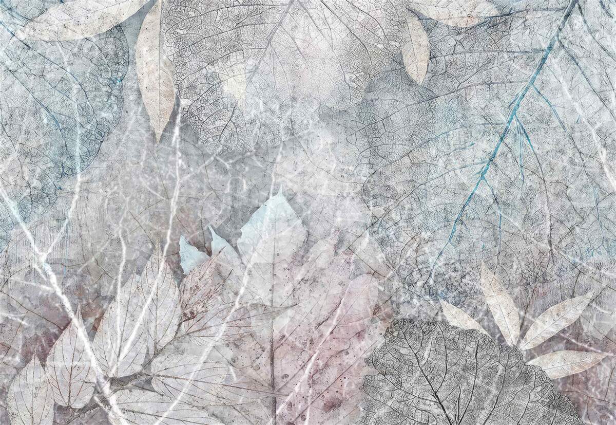 Фотошпалери колекція засушених рослин на сірому тлі