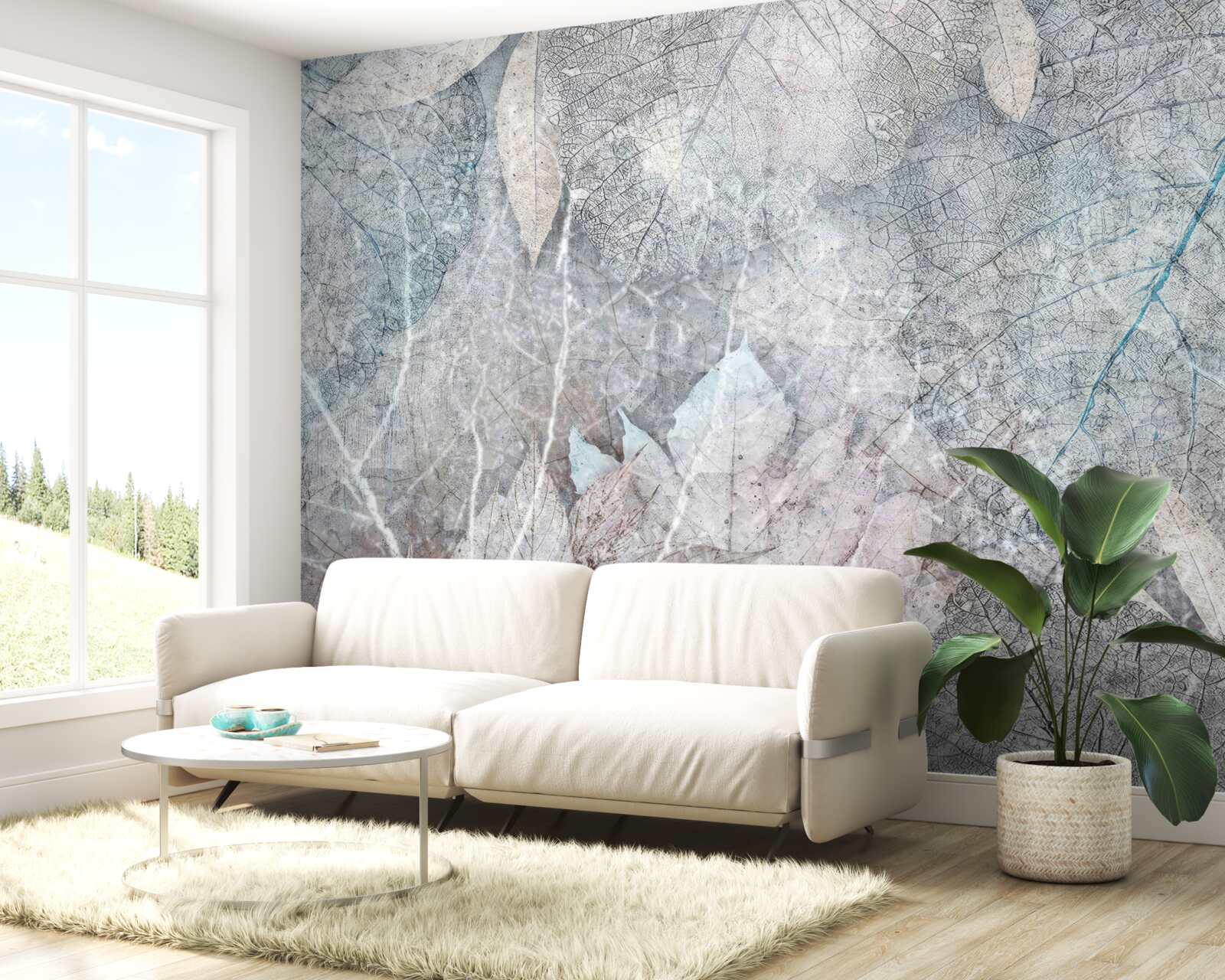 Фотошпалери колекція засушених рослин на сірому тлі