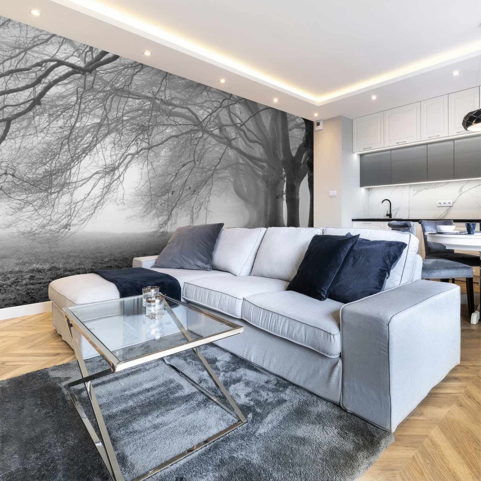 Фотошпалери туманний ліс, вкритий деревами