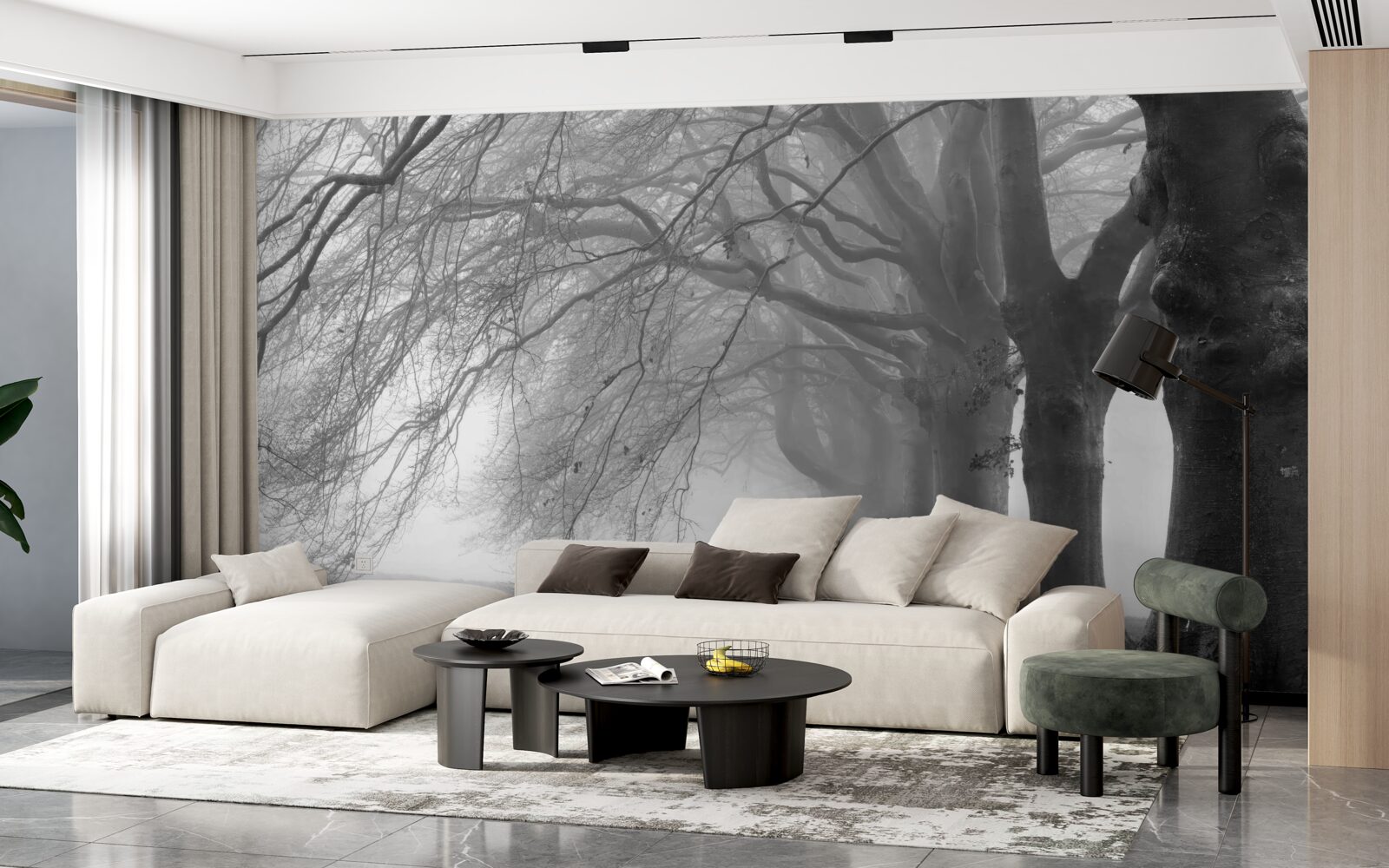 Фотошпалери туманний ліс, вкритий деревами