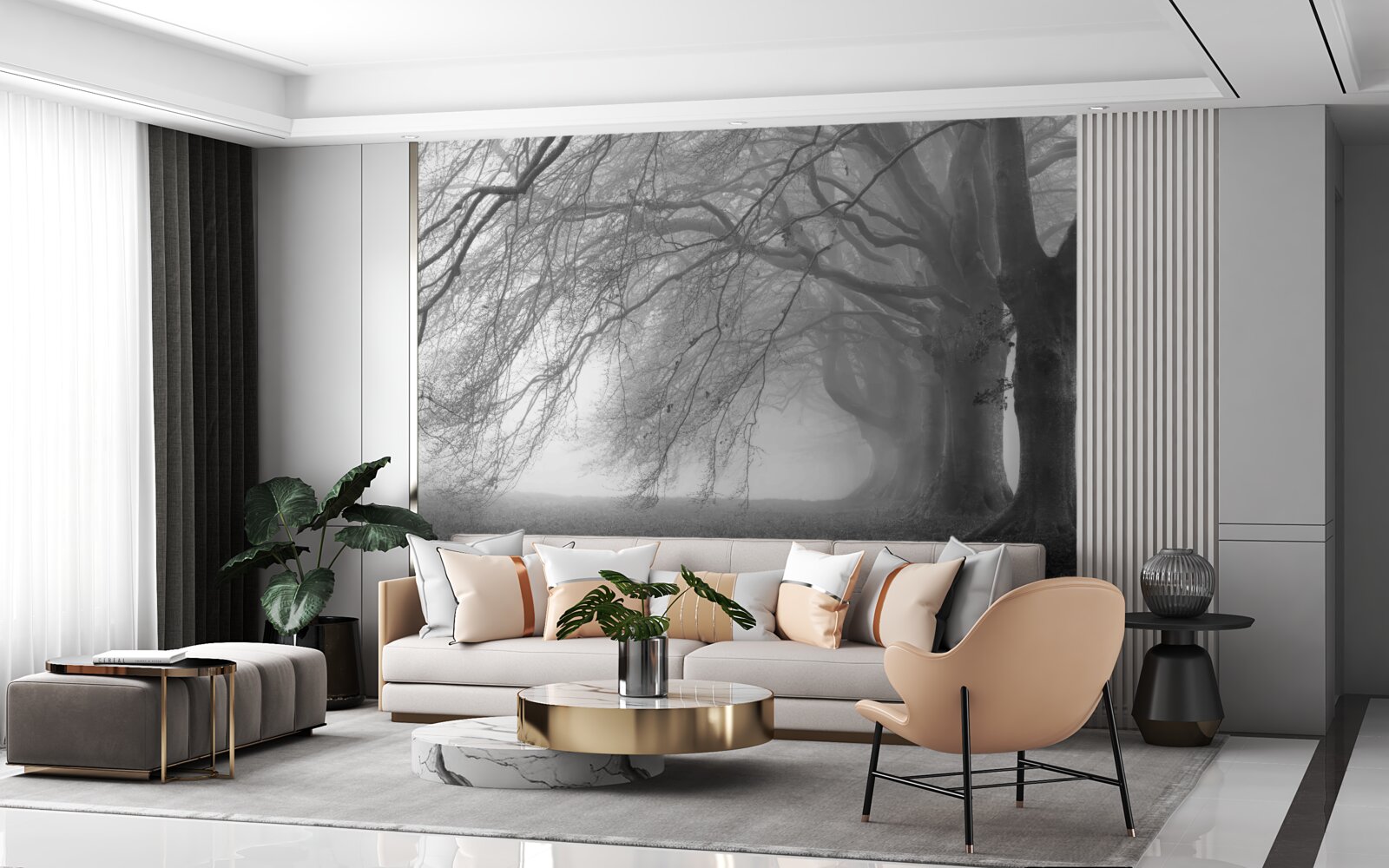 Фотошпалери туманний ліс, вкритий деревами