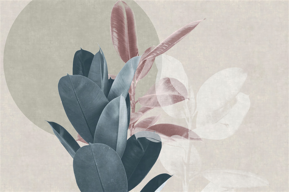 Фотошпалери фігове дерево на тлі сірої стіни