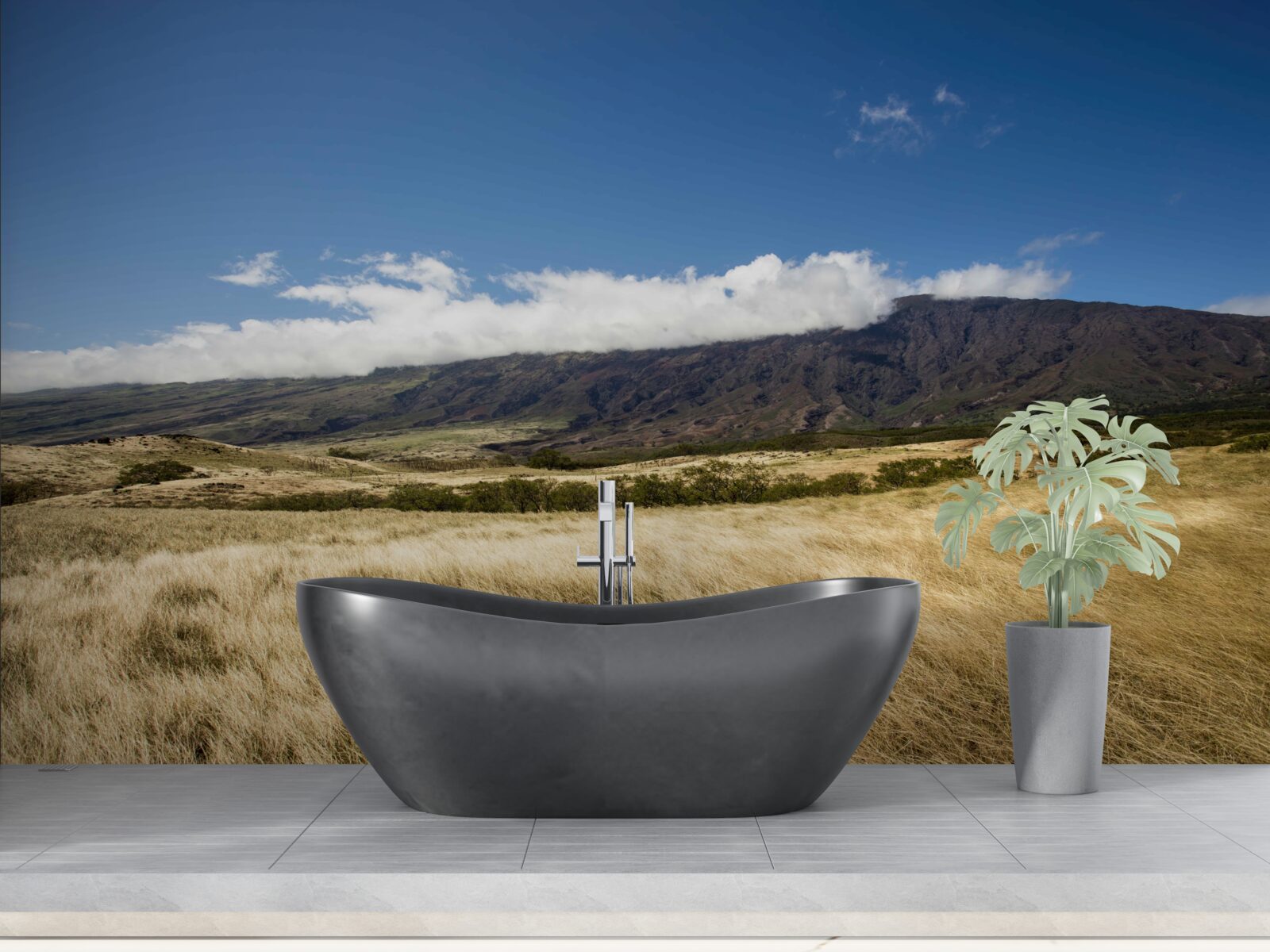 Фотошпалери савана з пишною травою