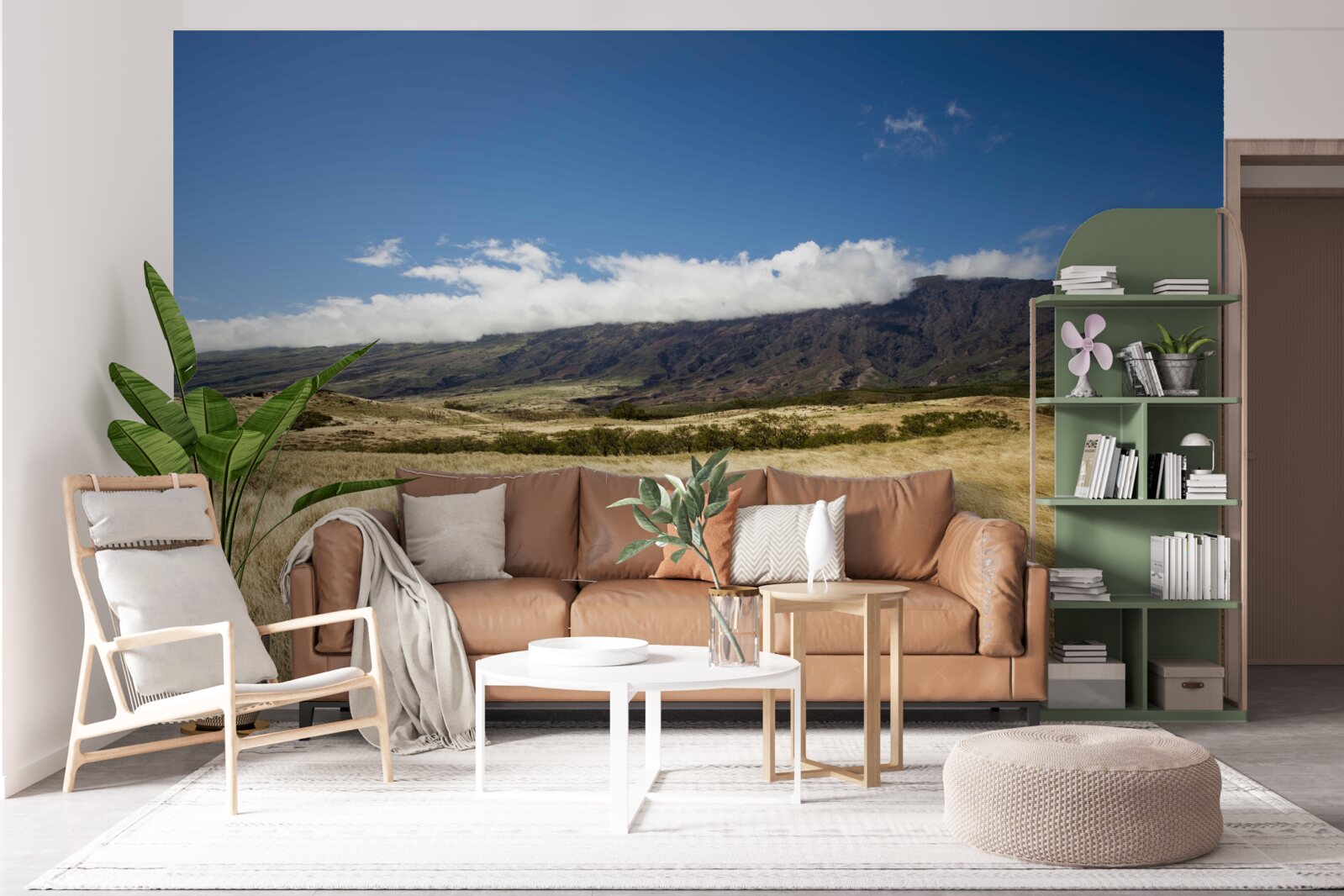 Фотошпалери савана з пишною травою