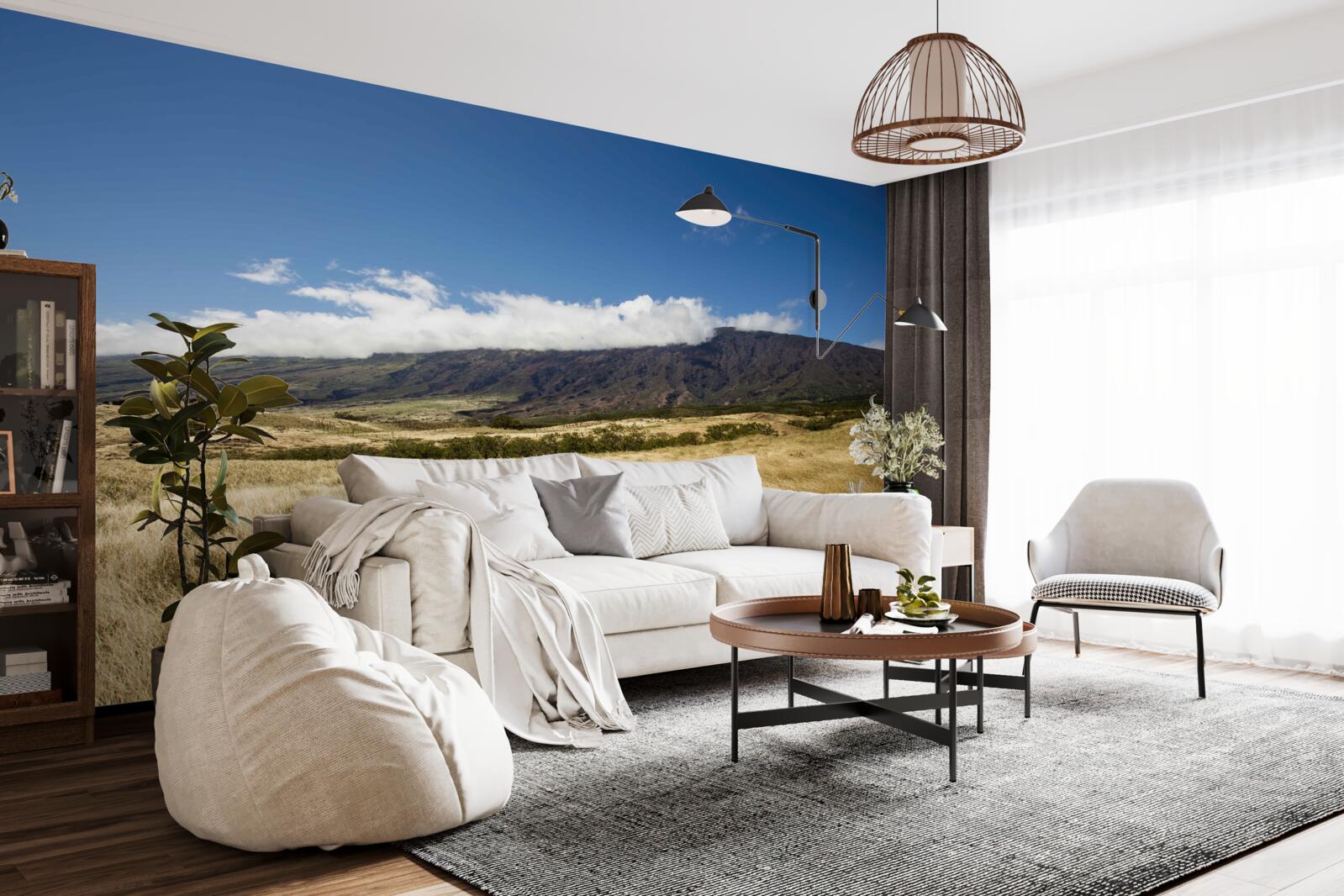 Фотошпалери савана з пишною травою