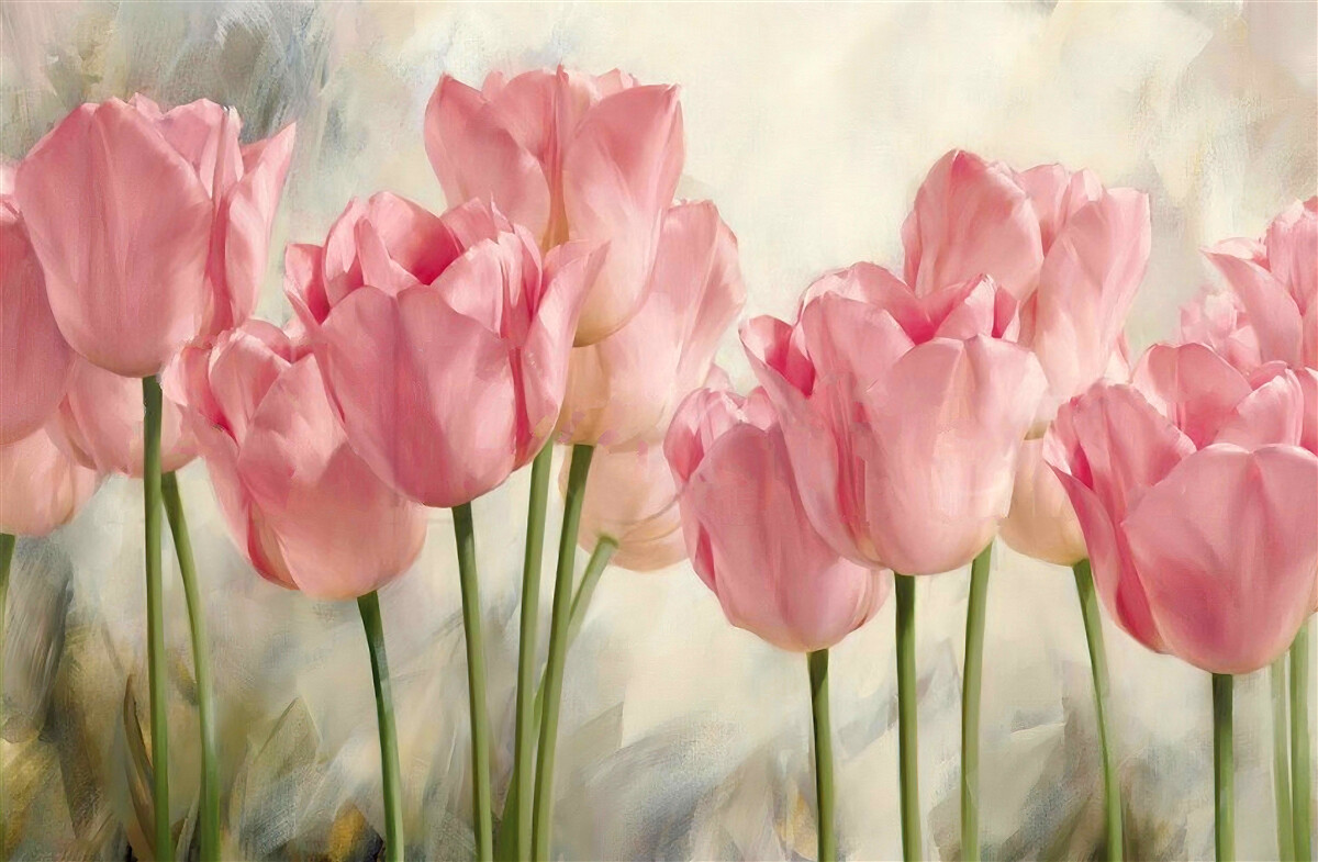 Фотошпалери рожеві тюльпани у цвітінні