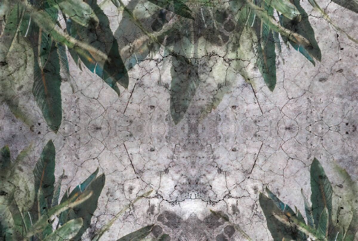 Фотошпалери Стіну з листям бетонують