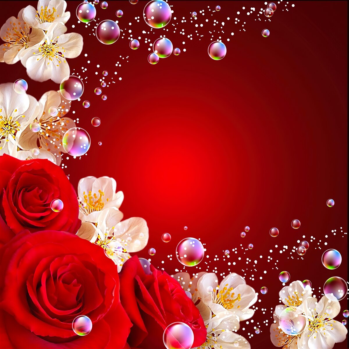 Фотошпалери білі квіти та червоні троянди на бордовому тлі