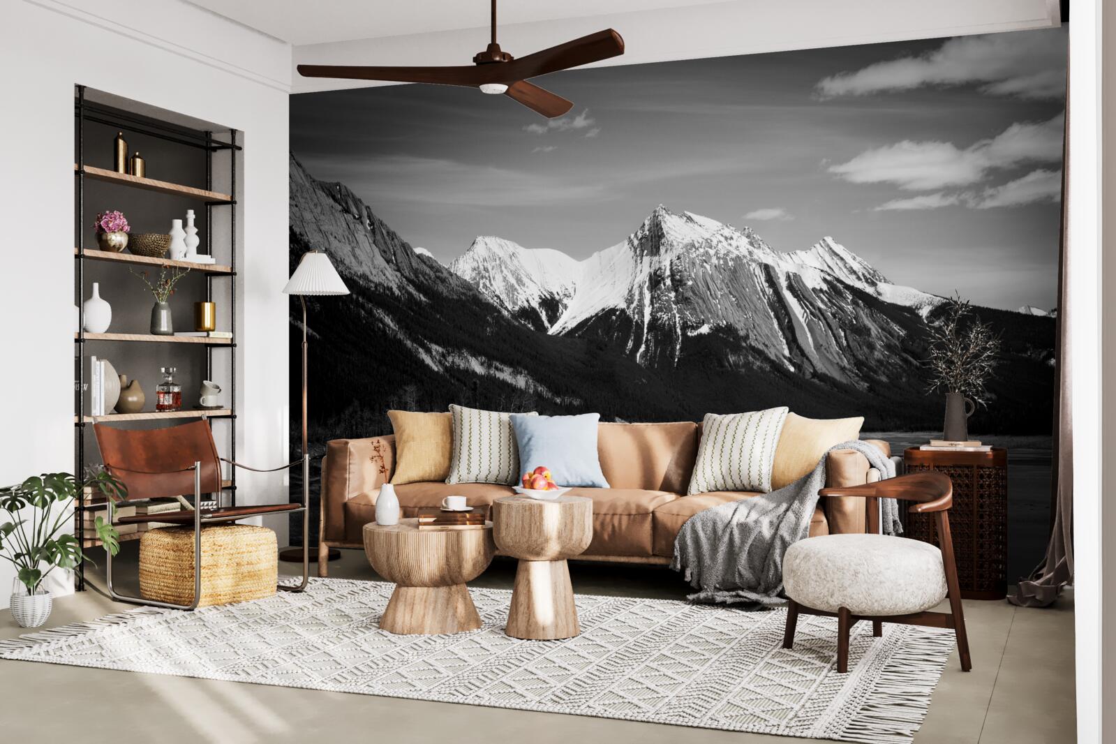 Фотошпалери гори в монохромних тонах