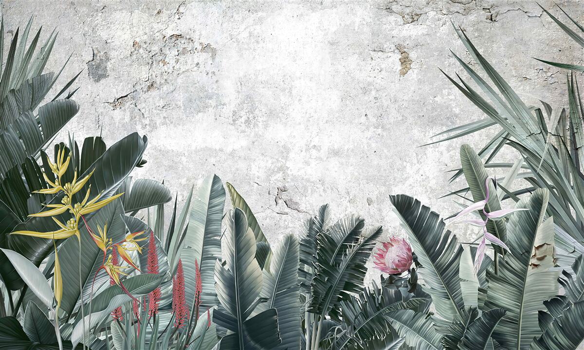 Фотошпалери різні тропічні зелені зони