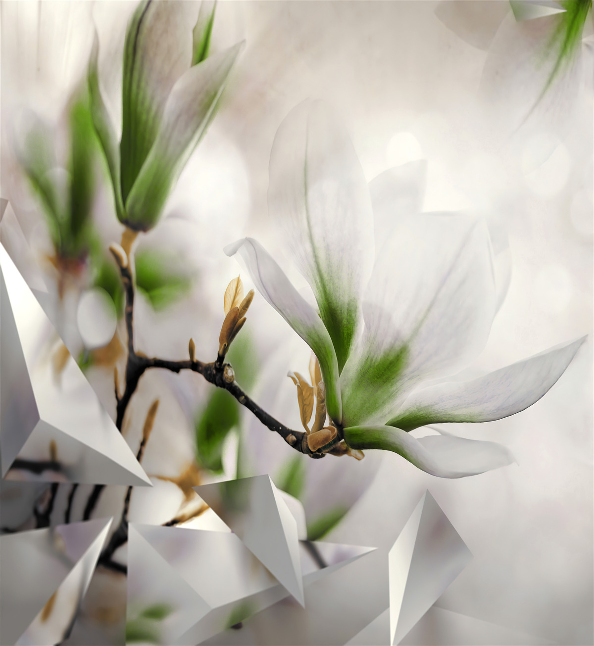 Фотошпалери квіти у відтінках білого та зеленого у поєднанні з геометричними формами