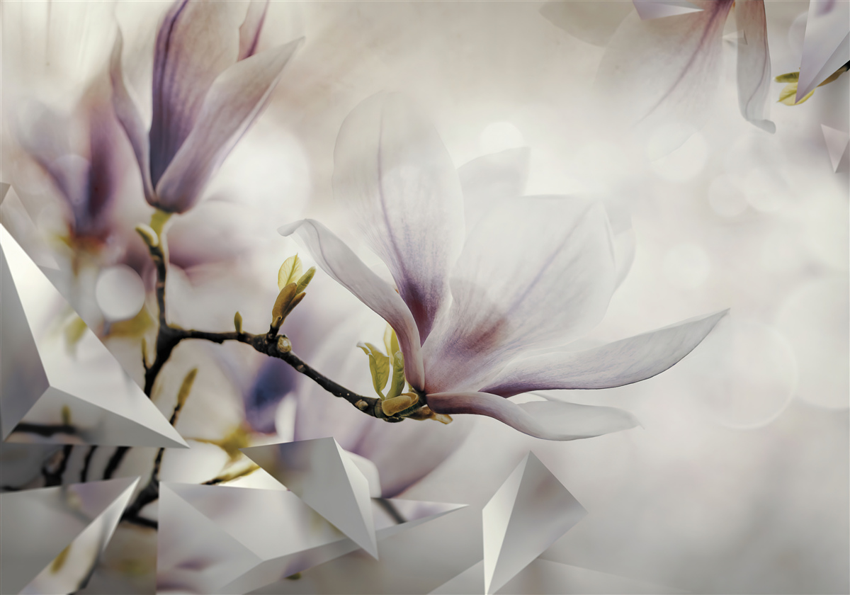 Фотошпалери великі бузкові квіти та білі форми