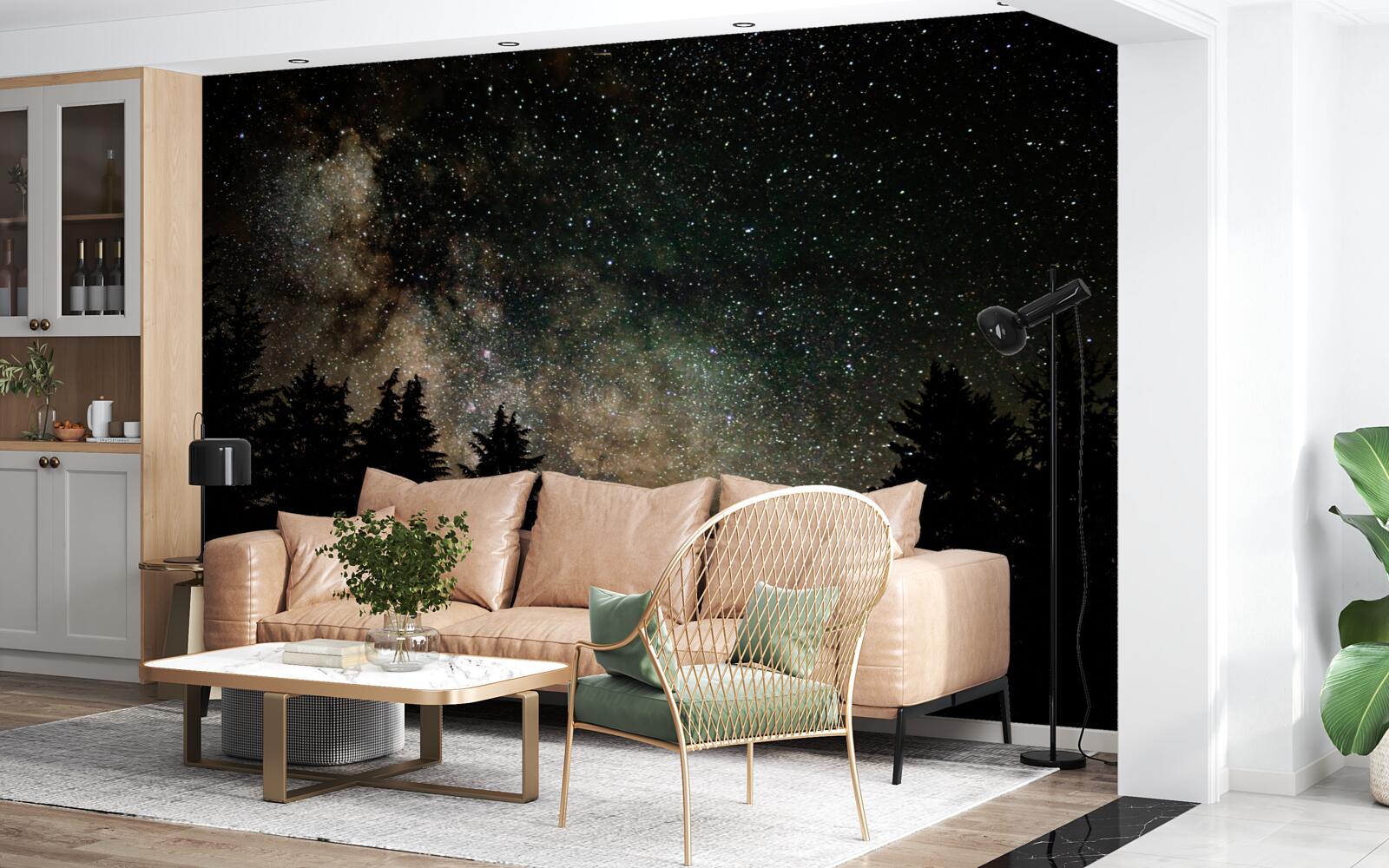 Фотошпалери нічний ліс і зоряне небо