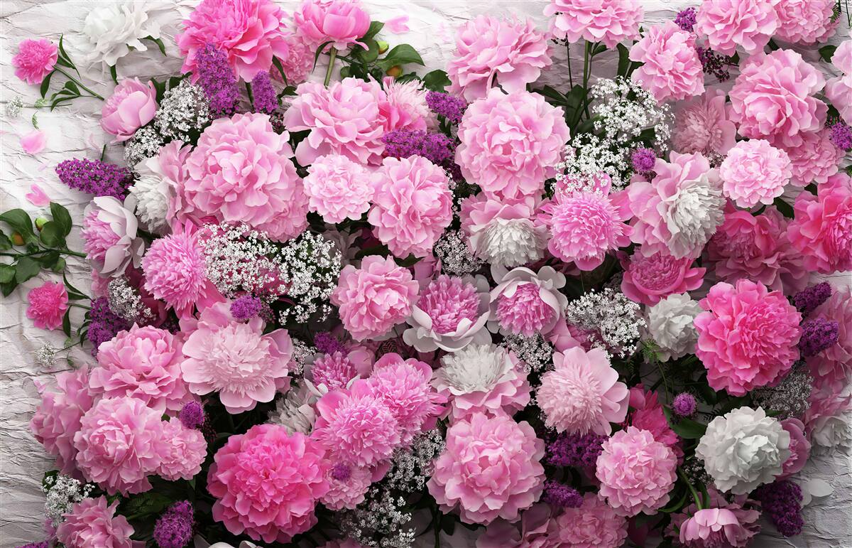 Фотошпалери велика кількість рожевих півоній