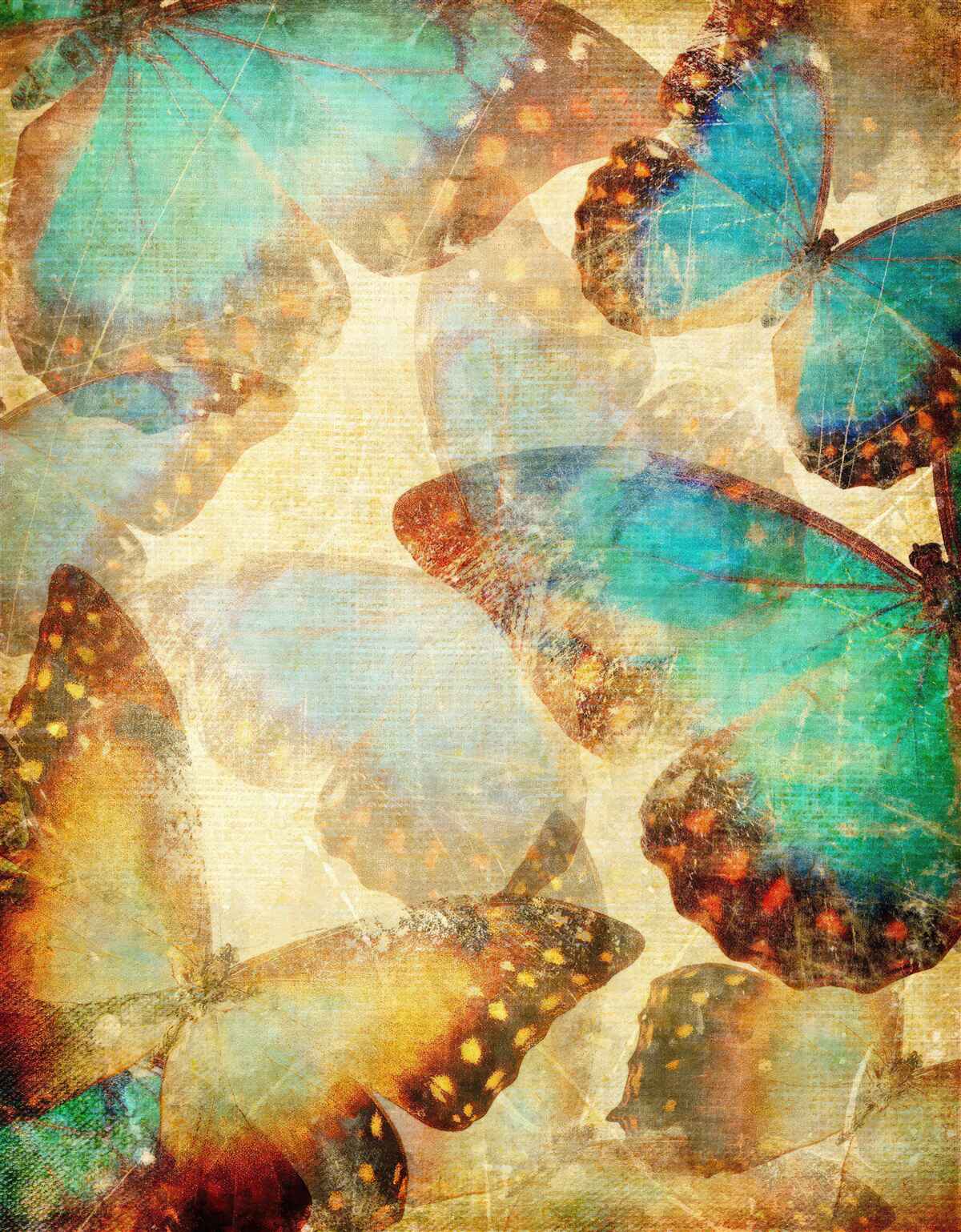 Фотошпалери великі метелики