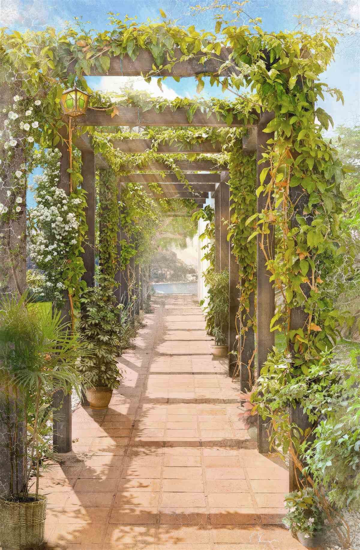 Фотошпалери перетинаючи заплутану зелень