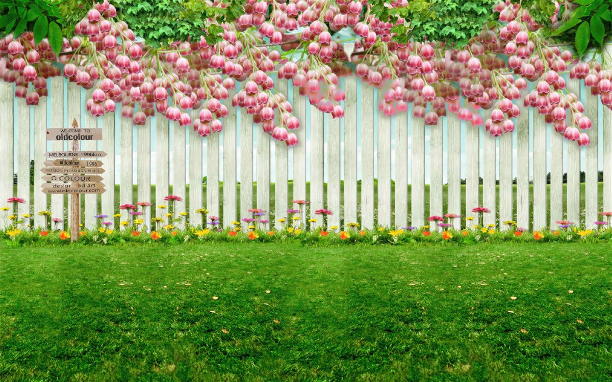 Фотошпалери рожеві квіти каскадом падають через білий паркан