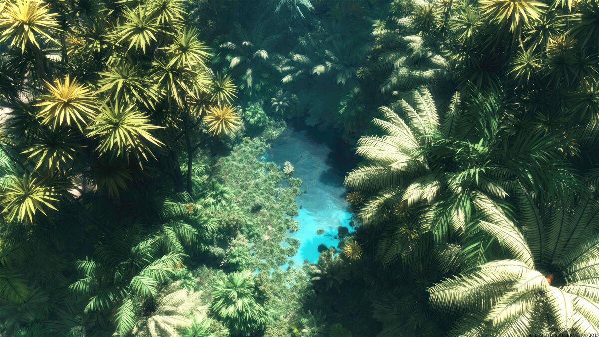 Фотошпалери панорамний вид на листя і водну гладь зверху