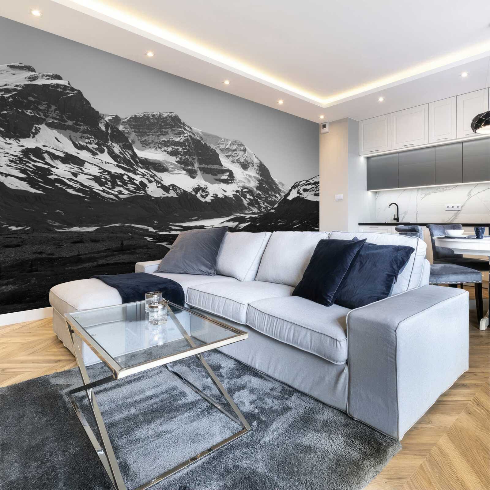 Фотошпалери чорно-біле зображення гір