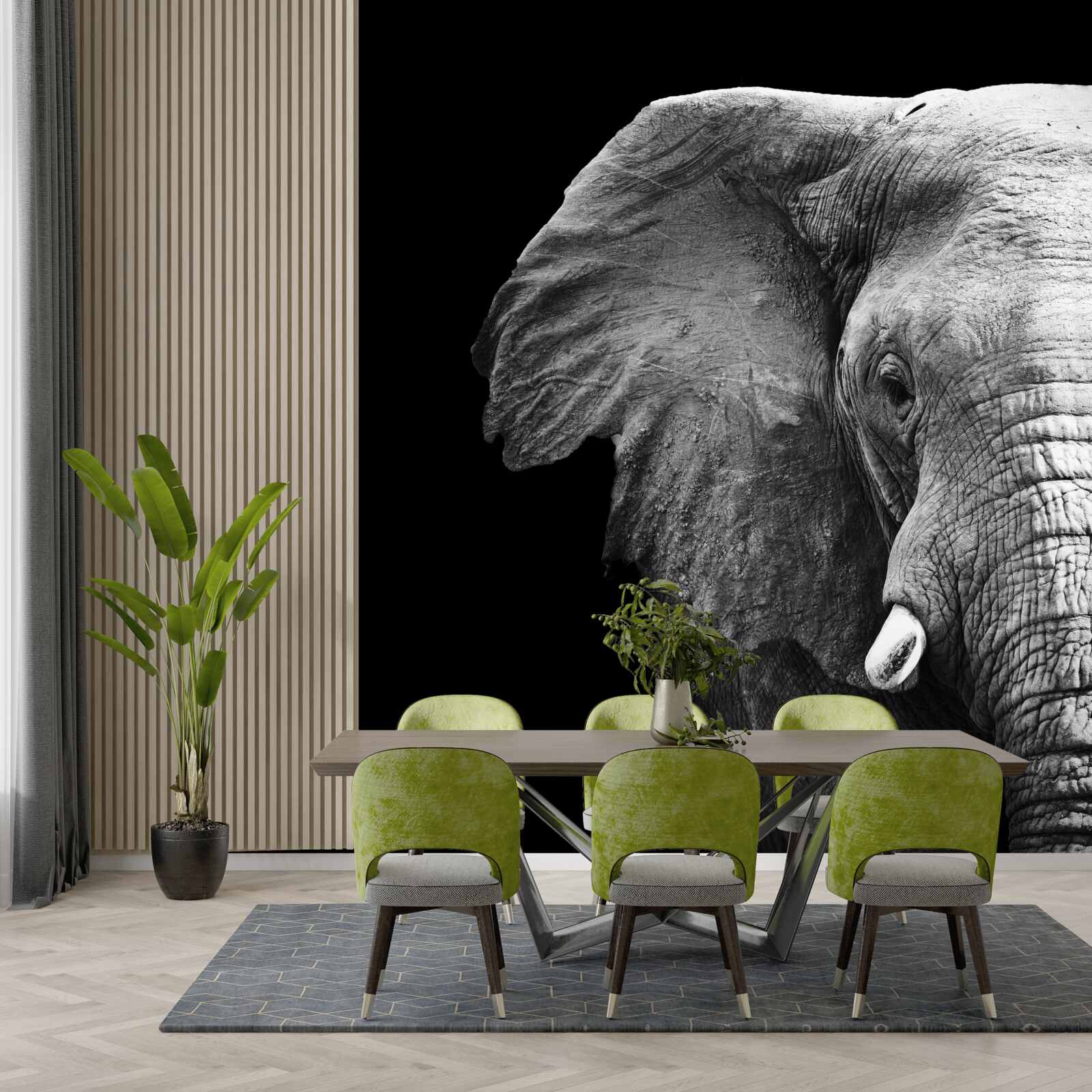 Фотошпалери великий план слона на чорному тлі